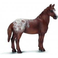 Giumenta Appaloosa - Schleich 13731 